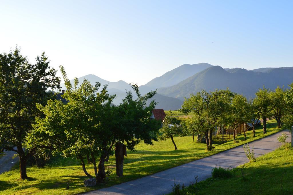 Apartmens And Rooms Sostar Cerkno Ngoại thất bức ảnh